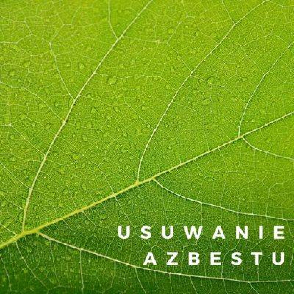 Usuwanie azbestu