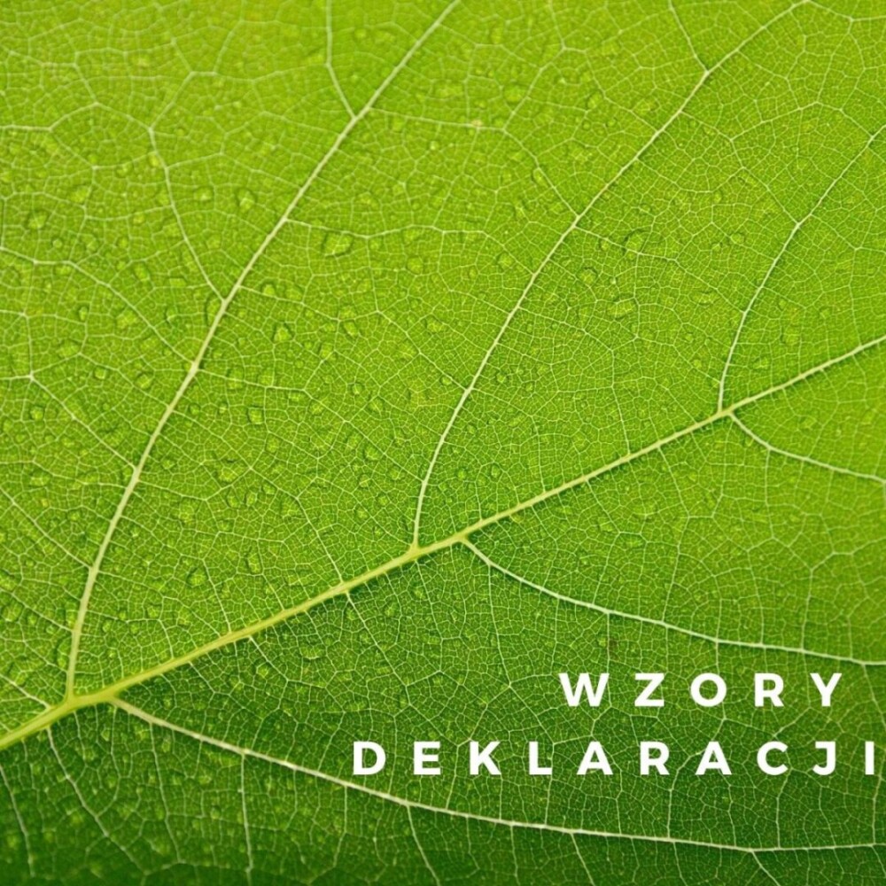 Nowy wzór deklaracji o wysokości opłaty za gospodarowanie odpadami komunalnymi