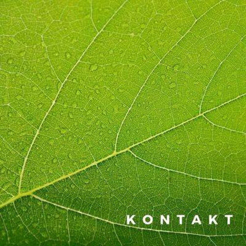 kontakt