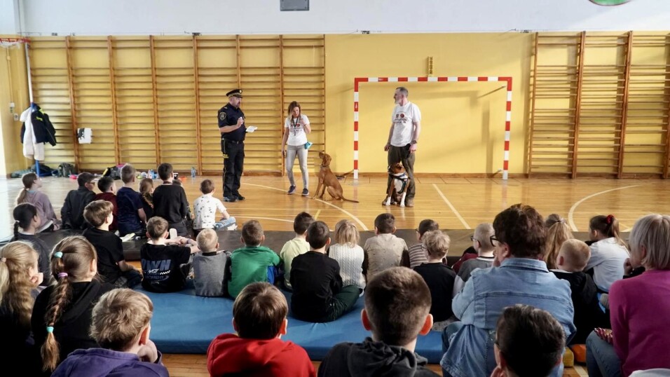 Edukacja z&nbsp;merdającym ogonem - spotkanie z&nbsp;uczniami SP 11 zastępcy komendanta Straży Miejskiej w&nbsp;Jarosławiu Piotra Demko oraz ambasadorek projektu - czworonogów Ajri i&nbsp;Sonii z&nbsp;opiekunami Małgosią i&nbsp;Witkiem.